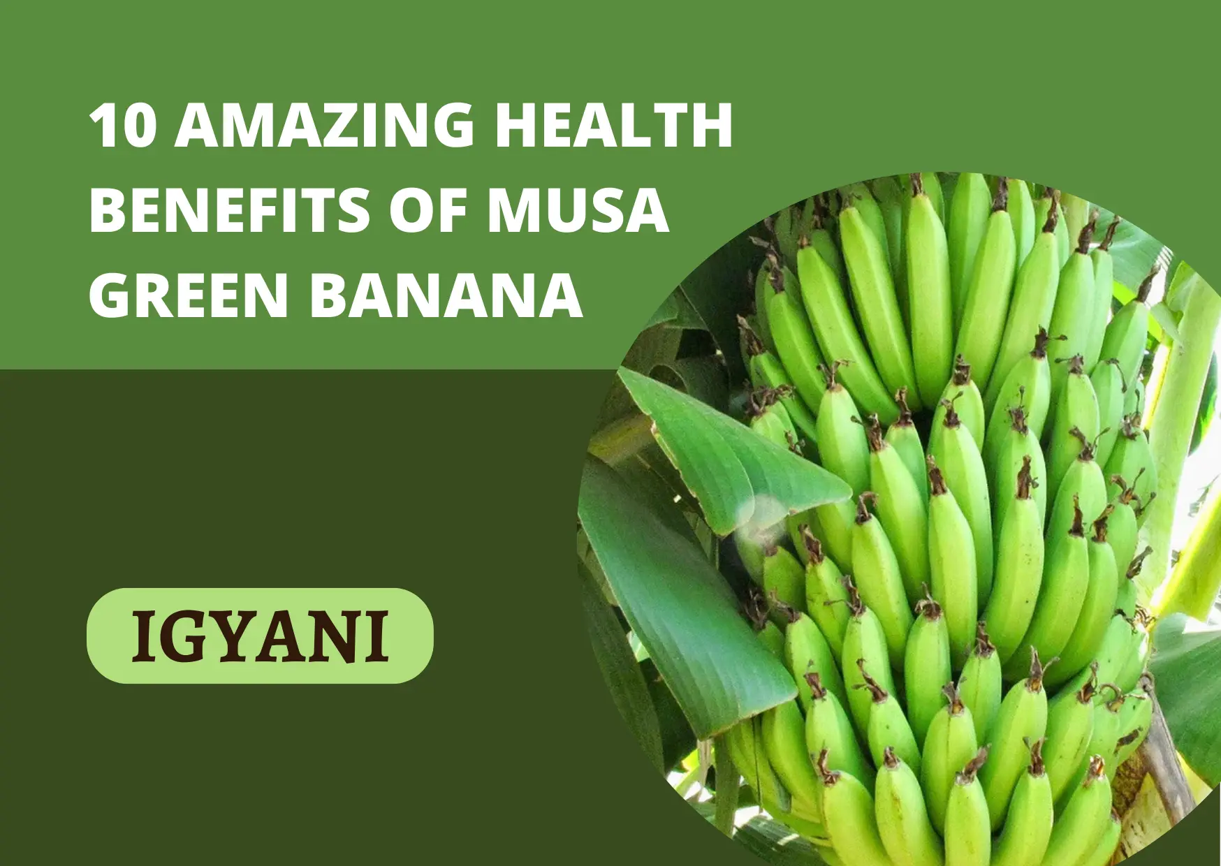 10 Amazing Health Benefits of Musa Green Banana